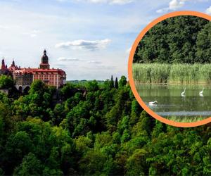 Dolnośląskie Parki Krajobrazowe. To prawdziwe oazy dzikiej przyrody. Ale tam pięknie! 