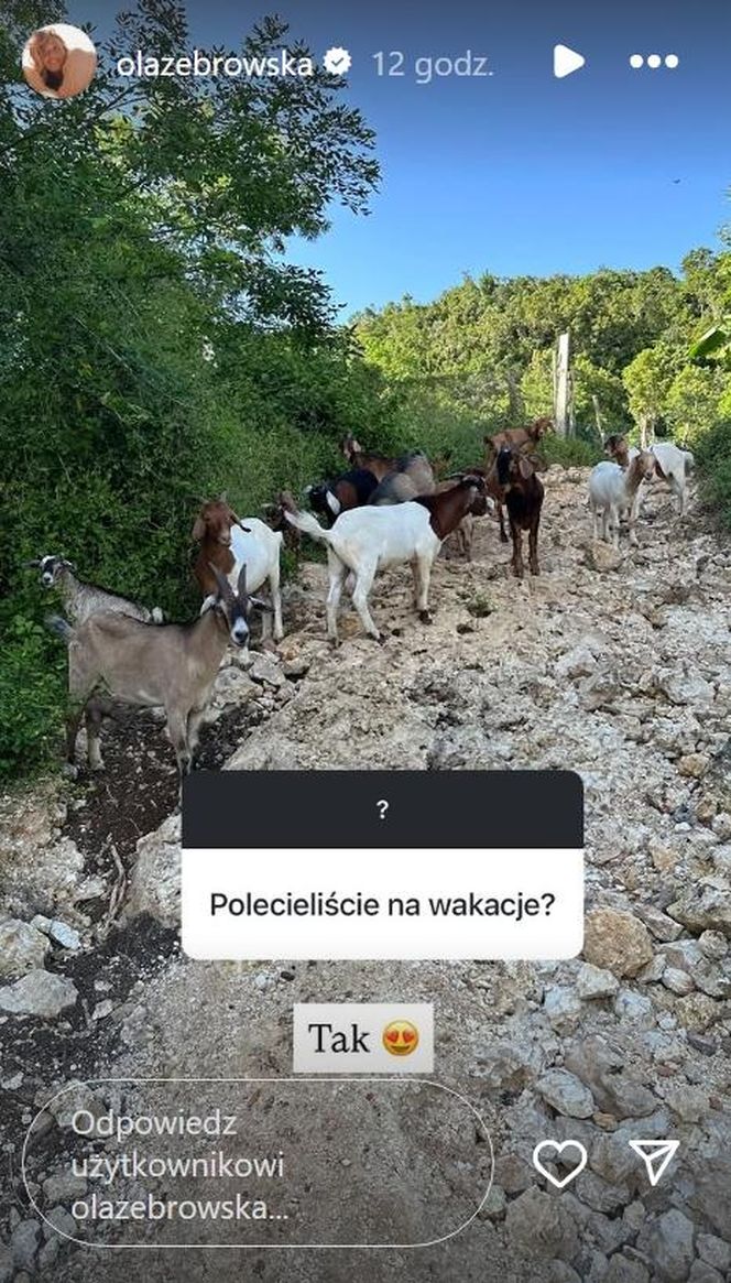 Z ostatniej chwili! Michał Żebrowski uwięziony przez kataklizm! Jest tam z żoną i z dziećmi