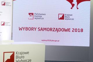 Chcesz głosować poza domem? Pośpiesz się! Poradnik Super Expressu