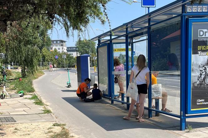 Albo ławka, albo cień. Krakowskie przystanki w upały każą wybierać