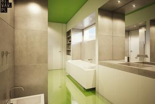 Nowoczesne wnętrza: łazienka zielona