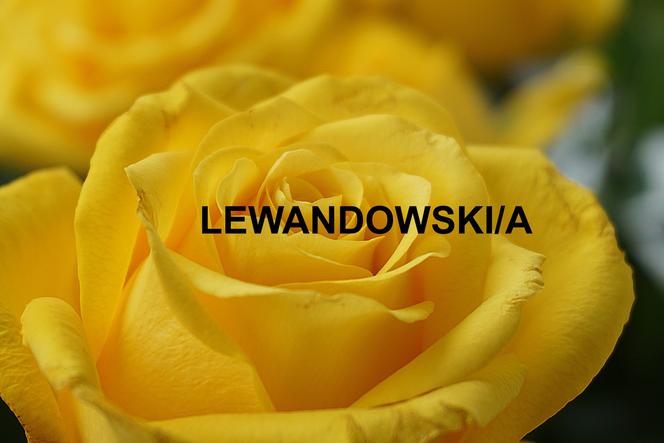 LEWANDOWSKI/A