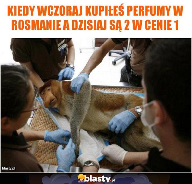 Czarny humor na "Czarny Piątek". Zobacz najlepsze memy o Black Friday 