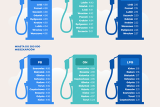 Ranking miast przyjaznych kierowcom - infografiki