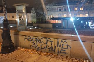 Warszawa zdewastowana po Marszu dla Izy