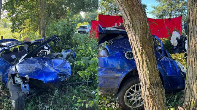 Tragedia pod Oleśnicą. Dwóch młodych mężczyzn zginęło w wypadku. Jechali za szybko