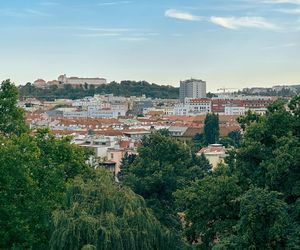 Willa Tugendhatów w Brnie