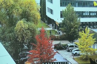 Ćwiczenia służb mundurowych na SGGW