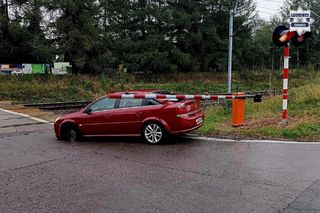 Z rogatek zrobiła się pułapka. Zdążyli w ostatniej chwili. Jest nagranie