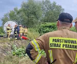 Strażacy rozciągnęli specjalną zaporę. Ma wyłapywać martwe ryby płynące z Czech