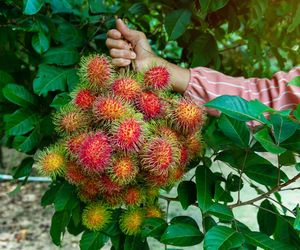 Dla zdrowia serca, odporności i smukłej sylwetki. Te owoce to rzadkość, ale warto ich szukać 
