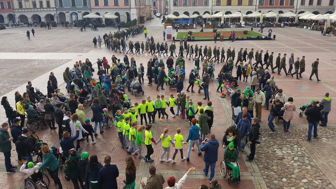 "I love green" na Rynku Wielkim w Zamościu