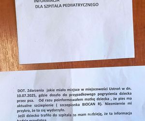 Pogryziony Franek potrzebuje pomocy. Policja szuka właściciela psa. Do szpitala dotarła anonimowa wiadomość