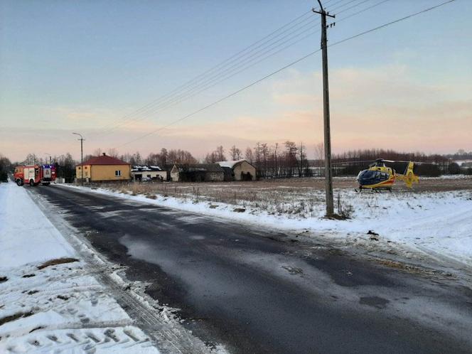 Pies zagryzł dziecko w Komorowie