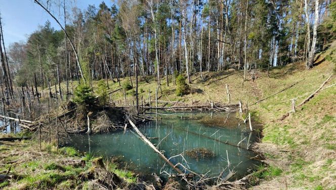 Kolorowe jeziorka w Bibieli na Pasiekach to atrakcja województwa śląskiego