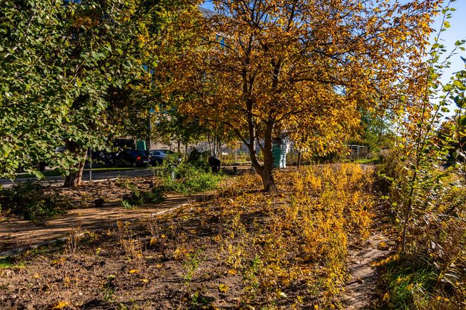 Park linearny na Służewcu w Warszawie pod koniec budowy