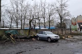 Powalone drzewa uszkodziły zaparkowane samochody