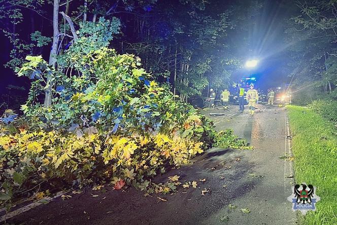 Samochód ściął drzewo, silnik wypadł spod maski