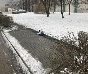 Tutaj ma stanąć automat paczkowy Orlen