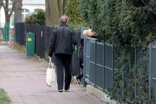 Donald Tusk. Lody ważniejsze niż Kidawa