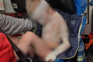 Artur Topól walczy o Fabiana