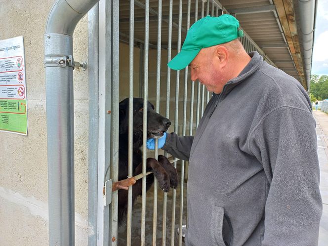 „Wszystkie psiaki nasze są” w schronisku w Henrykowie koło Leszna