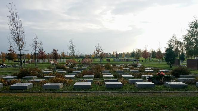 Cmentarz Zachodni w Szczecinie