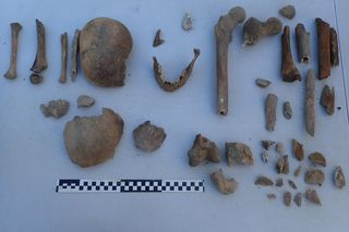 Ludzkie szczątki przy wydziale UAM