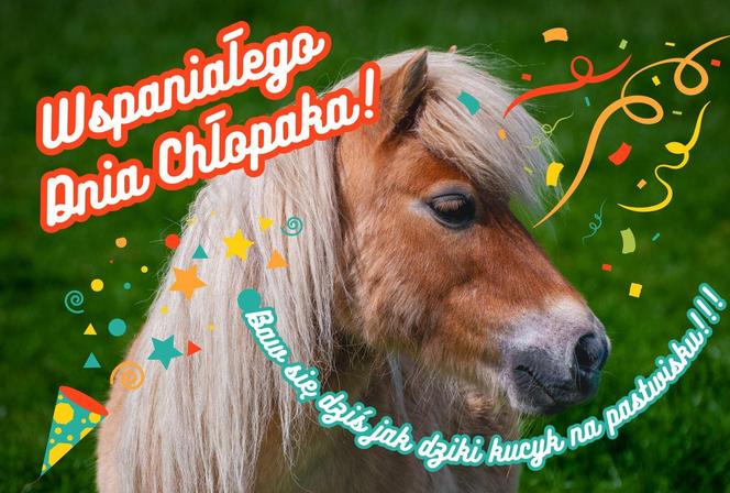 Życzenia na Dzień Chłopaka 