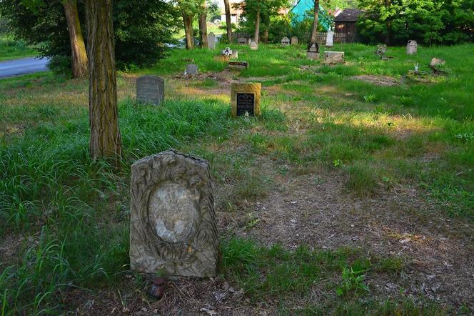 Opuszczony cmentarz w Bukowicach. W tym miejscu poczujesz prawdziwe ciarki na plecach 