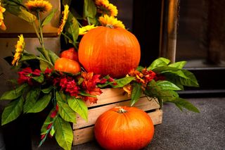 Dynia jako jesienna ozdoba