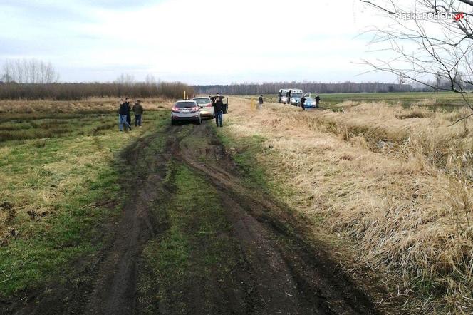 Śląskie: Pseudokibice zebrali się na ustawkę w lesie. Przerwali ją policjanci. Nie byli na grzybach