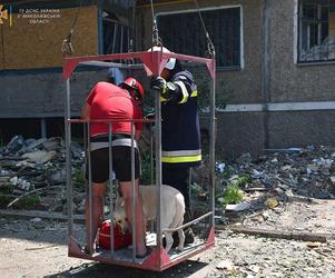  Pies uwięziony w budynku zniszczonym przez Rosjan. Finał akcji wyciskał łzy z oczu