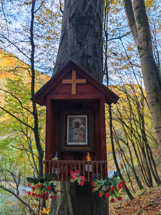 To najpiękniejsza atrakcja w sąsiedztwie Krakowa według AI. Turyści są zachwyceni tym miejscem!