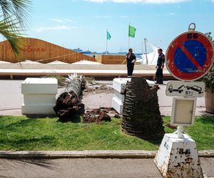 Dramat na festiwalu w Cannes! Producent uderzony przez palmę trafił do szpitala 