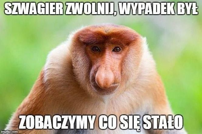 Szwagier zawsze wspomoże i odwiedzi. Zobacz najlepsze memy na Dzień Szwagra!