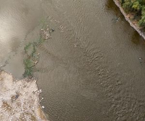 Wisła w Warszawie 27 sierpnia 2025 rano