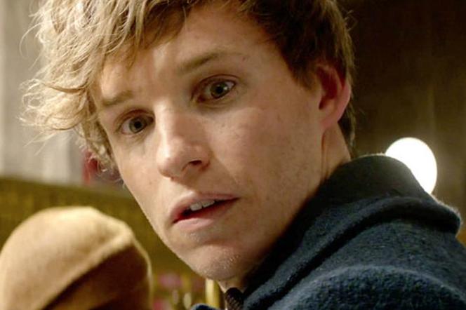 Fantastyczne Zwierzęta to powrót znanych postaci?! Kto z serii Harry Potter mógłby pojawić się