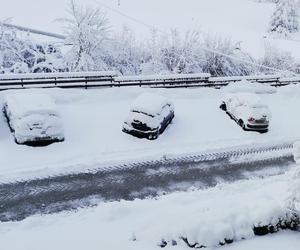 Zatrważające prognozy dla Polski! Eksperci mówią o śnieżycach