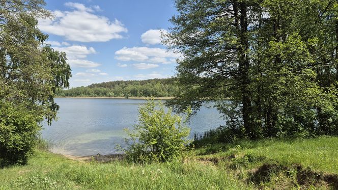 To jezioro w Olsztynie ma niezwykle czystą wodę. Jest kilka dzikich plaż, które świecą pustkami
