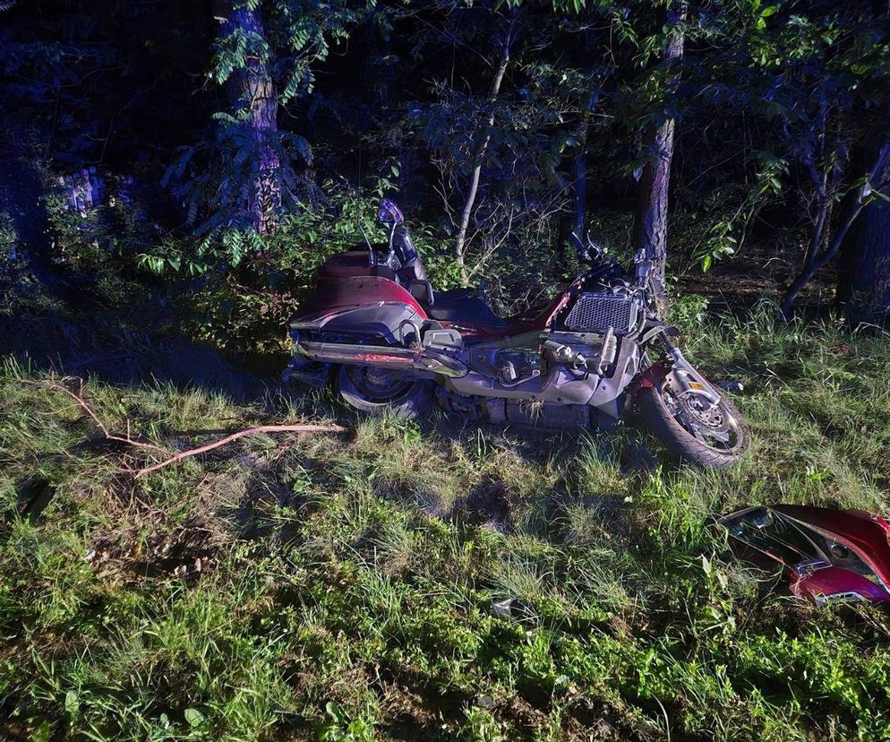 Motocyklista wjechał w łosia. Nie żyje pasażerka, kierujący trafił do szpitala