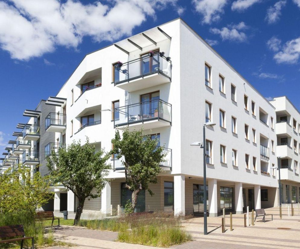 Wolne Miasto Eco Classic