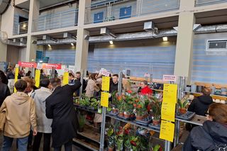 Festiwal Roślin w Rzeszowie 