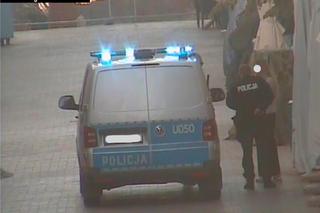 Siedziała na gałęzi w centrum Poznania. Zaskakujące zachowanie kobiety