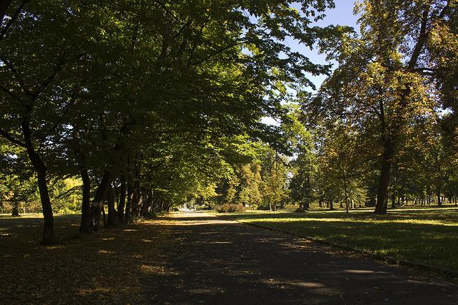 Park Skowroni