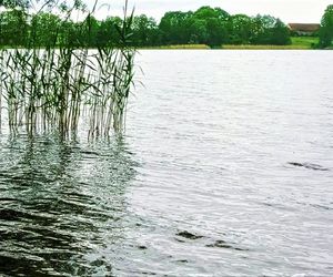 Fala powodziowa dotarła na Pomorze Zachodnie. Tutaj Odra zbliża się do stanu alarmowego