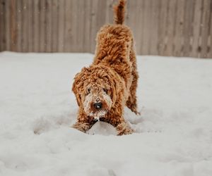 Wraca zima! Śnieg, a w nocy mróz. Tutaj będzie najgorzej 