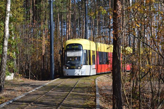 Tramwajem na Olechów przez las