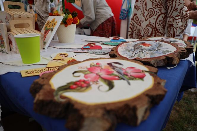 Za nami wyjątkowy piknik w Bardzie! Działali razem dla lokalnych organizacji pozarządowych [ZDJĘCIA]