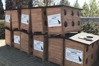 Nowe domki dla kotów wolno żyjących pojawią się na osiedlach Lublina